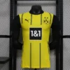 24-25 Borussia Dortmund Home Soccer Jersey Player Version