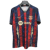 Barcelona special edition shirt football jersey 2025-26