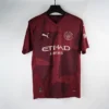 Manchester City third away kit fan version  2024-25
