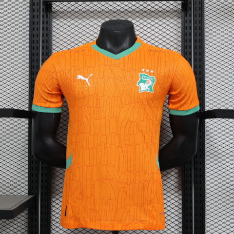 2026 World Cup Ivory Coast Home Jersey (Player Version)