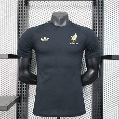 2026 World Cup Mexico Special Edition Jersey (Player Version)