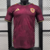 2026 Venezuela Home Jersey (Player Version)